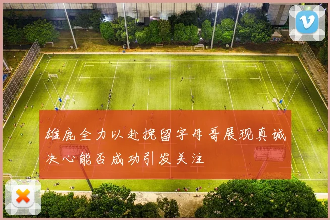 雄鹿全力以赴挽留字母哥展现真诚决心能否成功引发关注