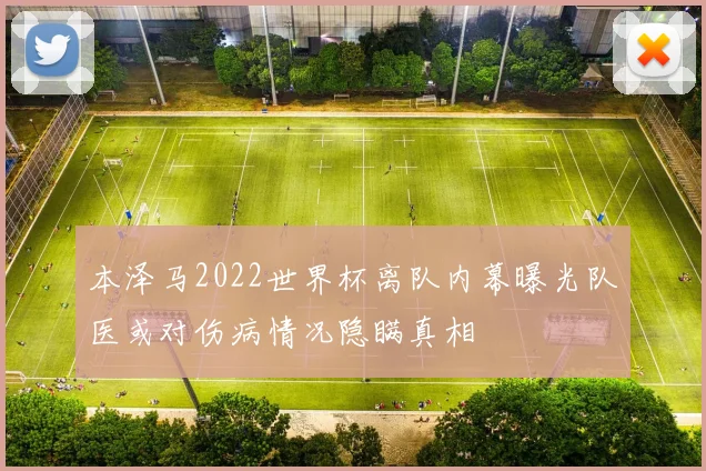 本泽马2022世界杯离队内幕曝光队医或对伤病情况隐瞒真相